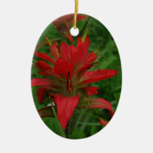 Indian paint brush ceramic ornament
