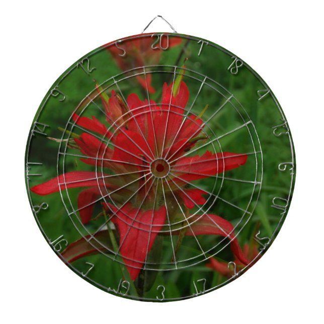 Indian paint brush dartboard (Front)