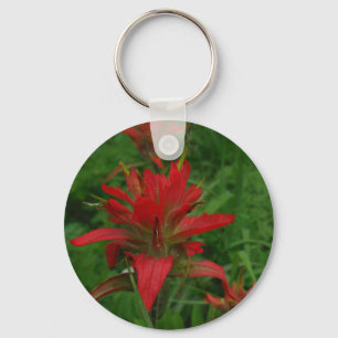 Indian paint brush keychain
