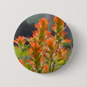Indian Paintbrush 2 Inch Round Button