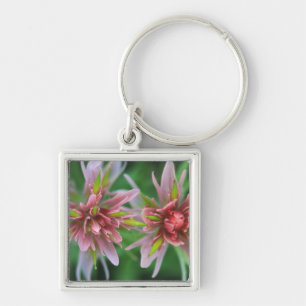 Indian Paintbrush, Banff NP, Alberta, Canada Keychain