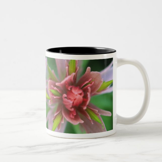 Indian Paintbrush, Banff NP, Alberta, Canada Two-Tone Coffee Mug (Right)