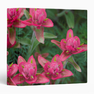 Indian Paintbrush Binder