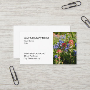 Indian Paintbrush Bluebonnet Business Card