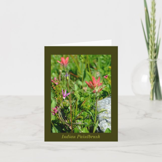 Indian Paintbrush Card (Front)