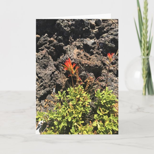 Indian Paintbrush Card (Front)