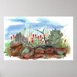 Indian Paintbrush Flowers Desert Landscape Poster