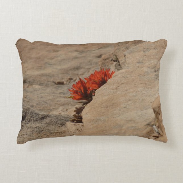 Indian Paintbrush in Rocks at Zion Accent Pillow (Front)