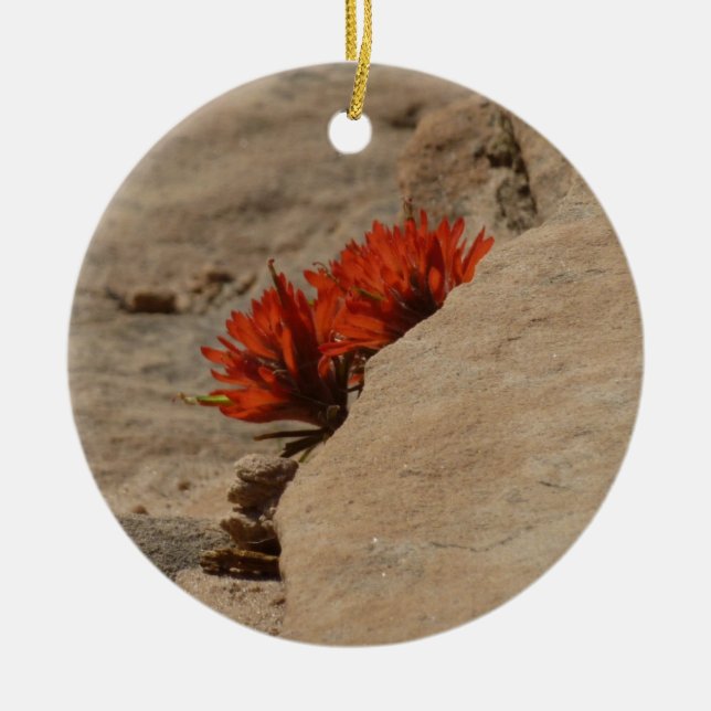 Indian Paintbrush in Rocks at Zion Ceramic Ornament (Front)
