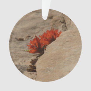 Indian Paintbrush in Rocks at Zion Ornament
