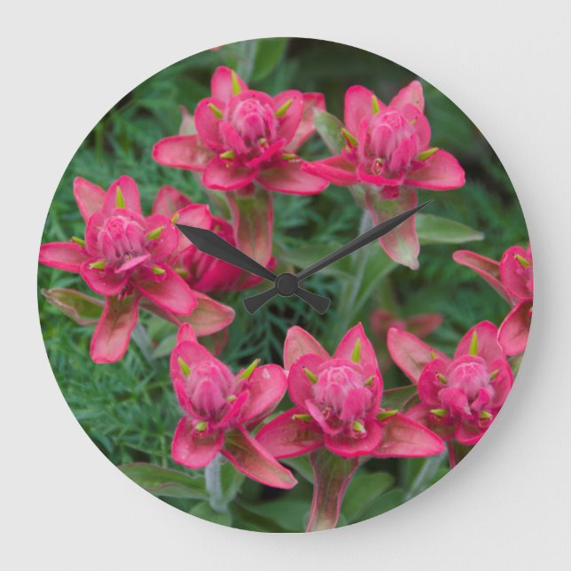 Indian Paintbrush Large Clock (Front)