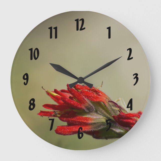Indian Paintbrush Large Clock (Front)