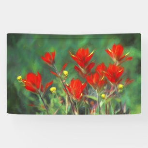 Indian Paintbrush Painting - Original Flower Art Banner