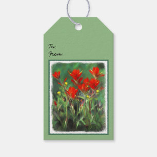 Indian Paintbrush Painting - Original Flower Art Gift Tags