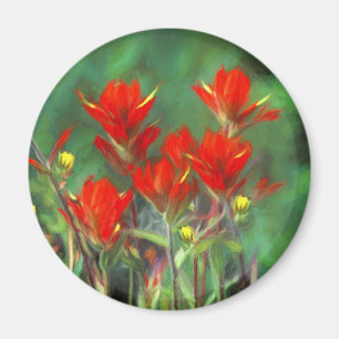 Indian Paintbrush Painting - Original Flower Art Magnet
