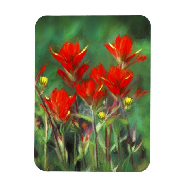Indian Paintbrush Painting - Original Flower Art Magnet (Vertical)