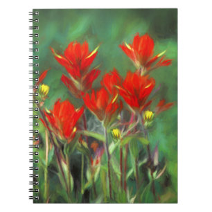 Indian Paintbrush Painting - Original Flower Art Notebook