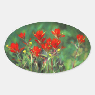 Indian Paintbrush Painting - Original Flower Art Oval Sticker