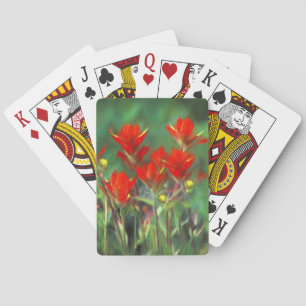 Indian Paintbrush Painting - Original Flower Art Playing Cards
