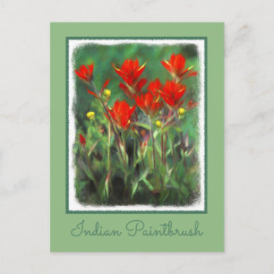 Indian Paintbrush Painting - Original Flower Art Postcard