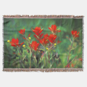 Indian Paintbrush Painting - Original Flower Art Throw Blanket