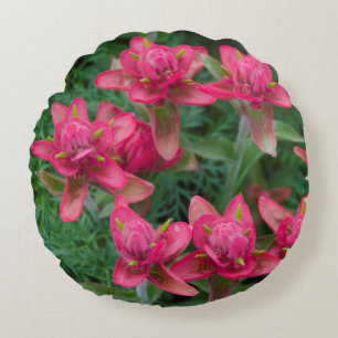 Indian Paintbrush Round Pillow
