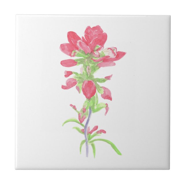 Indian Paintbrush Tile (Front)