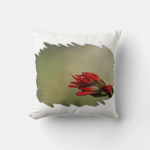 Indian Paintbrush Wide White Edge Throw Pillow