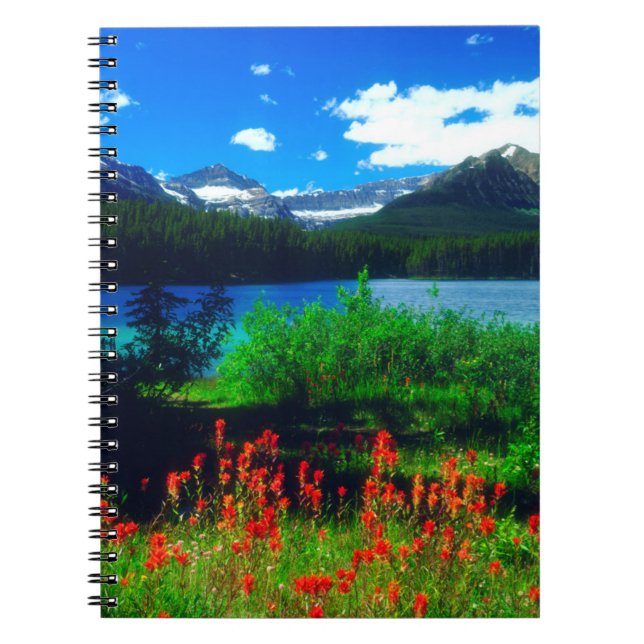 Indian Paintbrush Wildflowers Notebook (Front)
