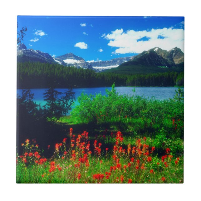 Indian Paintbrush Wildflowers Tile (Front)