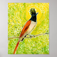 Indian Paradise Flycatcher Tropical Bird Yellow
