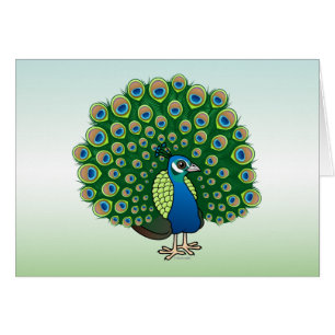 Indian Peafowl