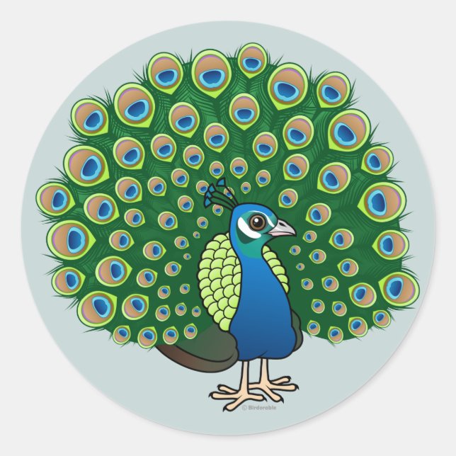 Indian Peafowl Classic Round Sticker (Front)