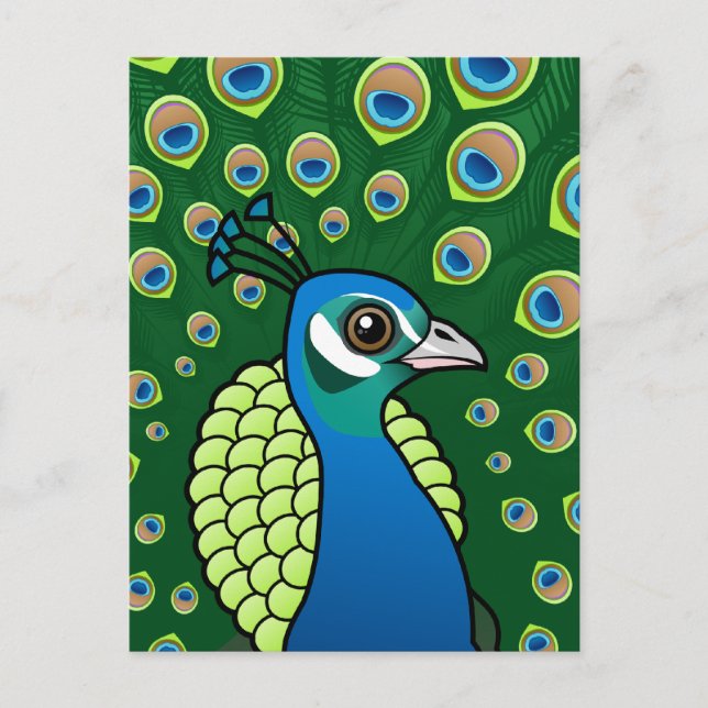 Indian Peafowl Postcard (Front)
