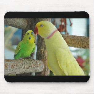 Indian Ringneck and Budgie kissing Mouse Pad