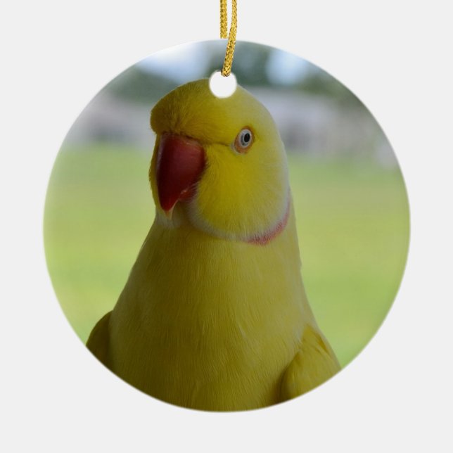 Indian Ringneck in the Shade Ceramic Ornament (Front)