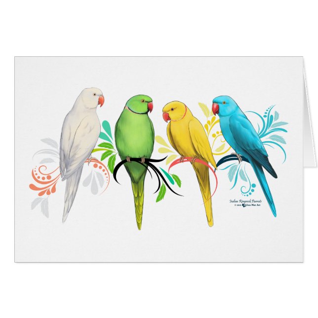 Indian Ringneck Parrots (Front Horizontal)