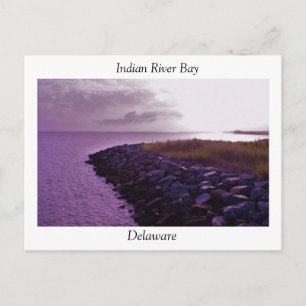 Indian River Bay, Delaware Postcard
