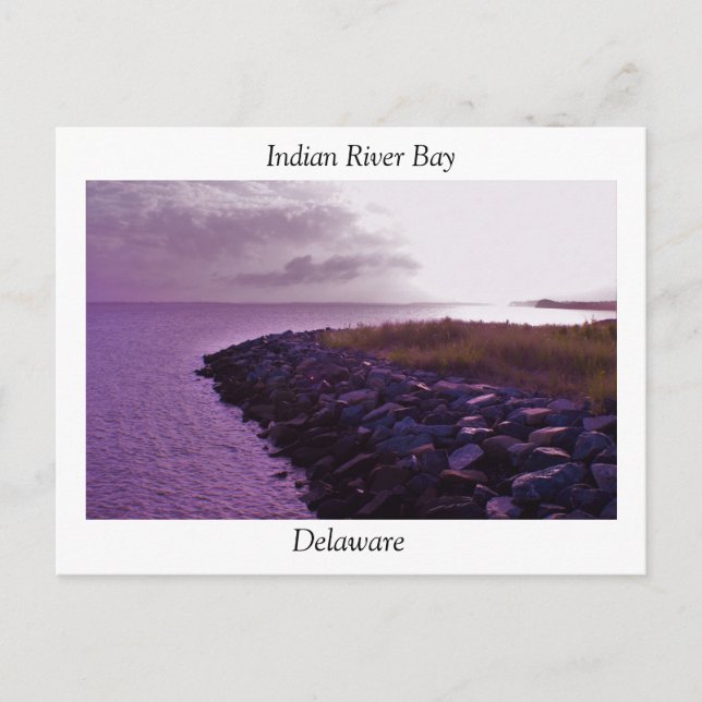 Indian River Bay, Delaware Postcard (Front)