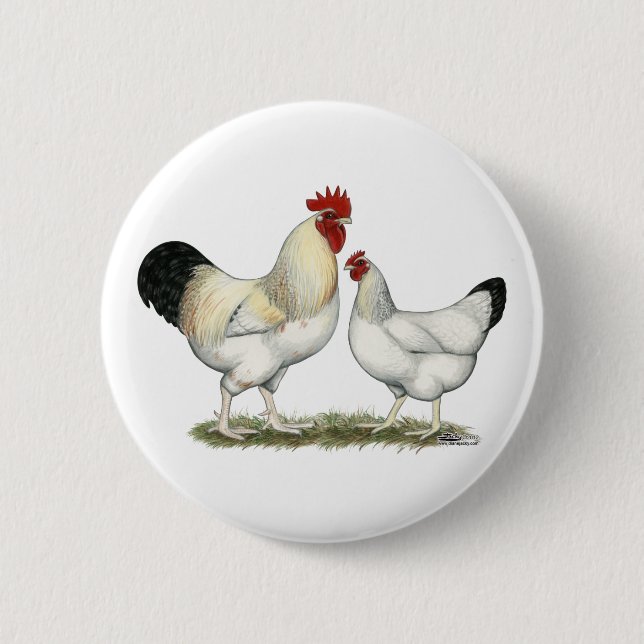 Indian River Chickens 2 Inch Round Button (Front)
