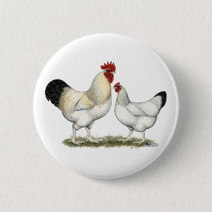 Indian River Chickens 2 Inch Round Button