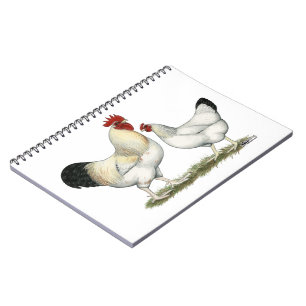 Indian River Chickens Notebook