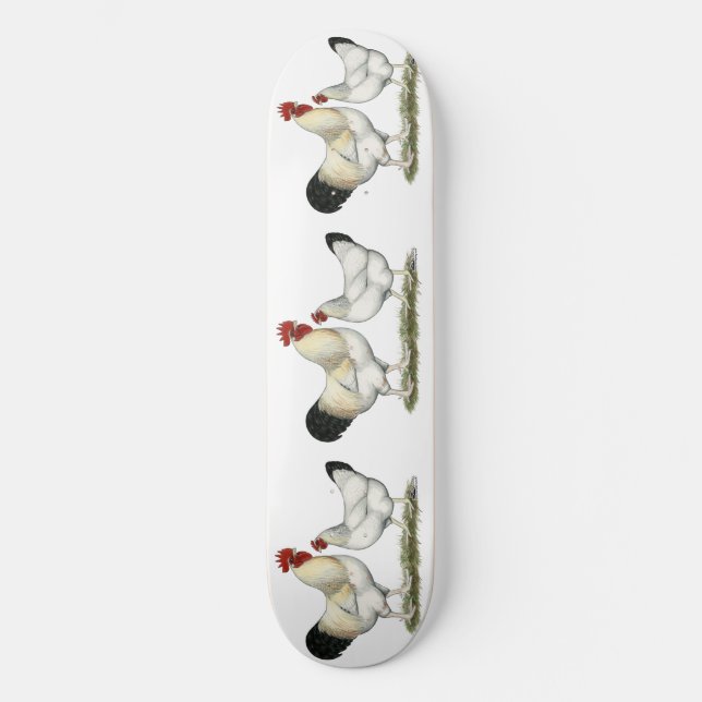 Indian River Chickens Skateboard (Front)