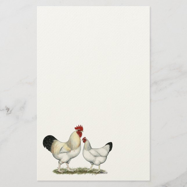 Indian River Chickens Stationery (Front)