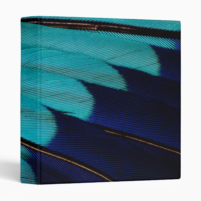 Indian Roller Feather Abstract Binder (Front/Spine)