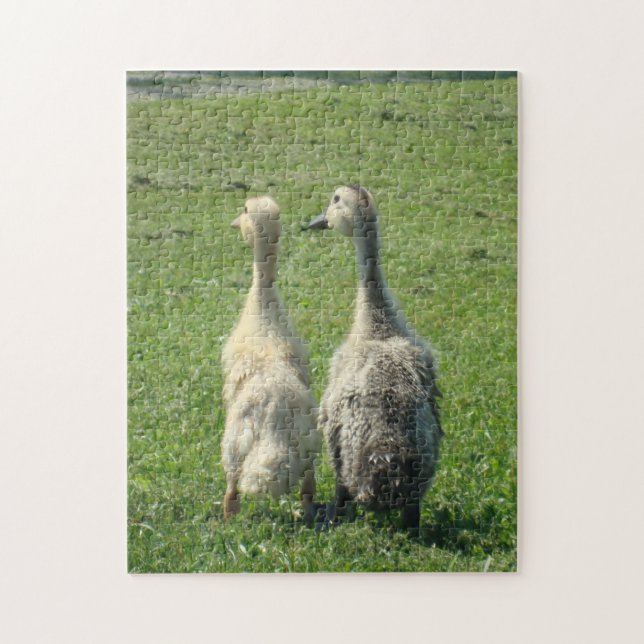 Indian Runner Ducklings Jigsaw Puzzle (Vertical)