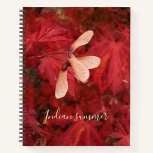 Indian summer - notebook