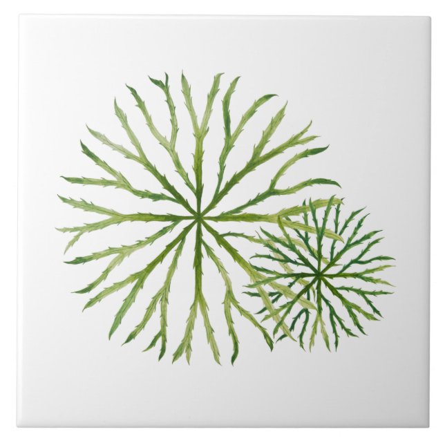 Indian Summer on a Ceramic Tile (W) (Front)