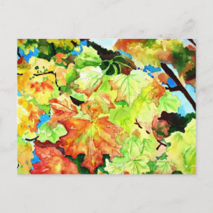 Indian summer postcard