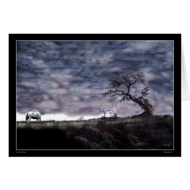 Indian Sunset (Front Horizontal)